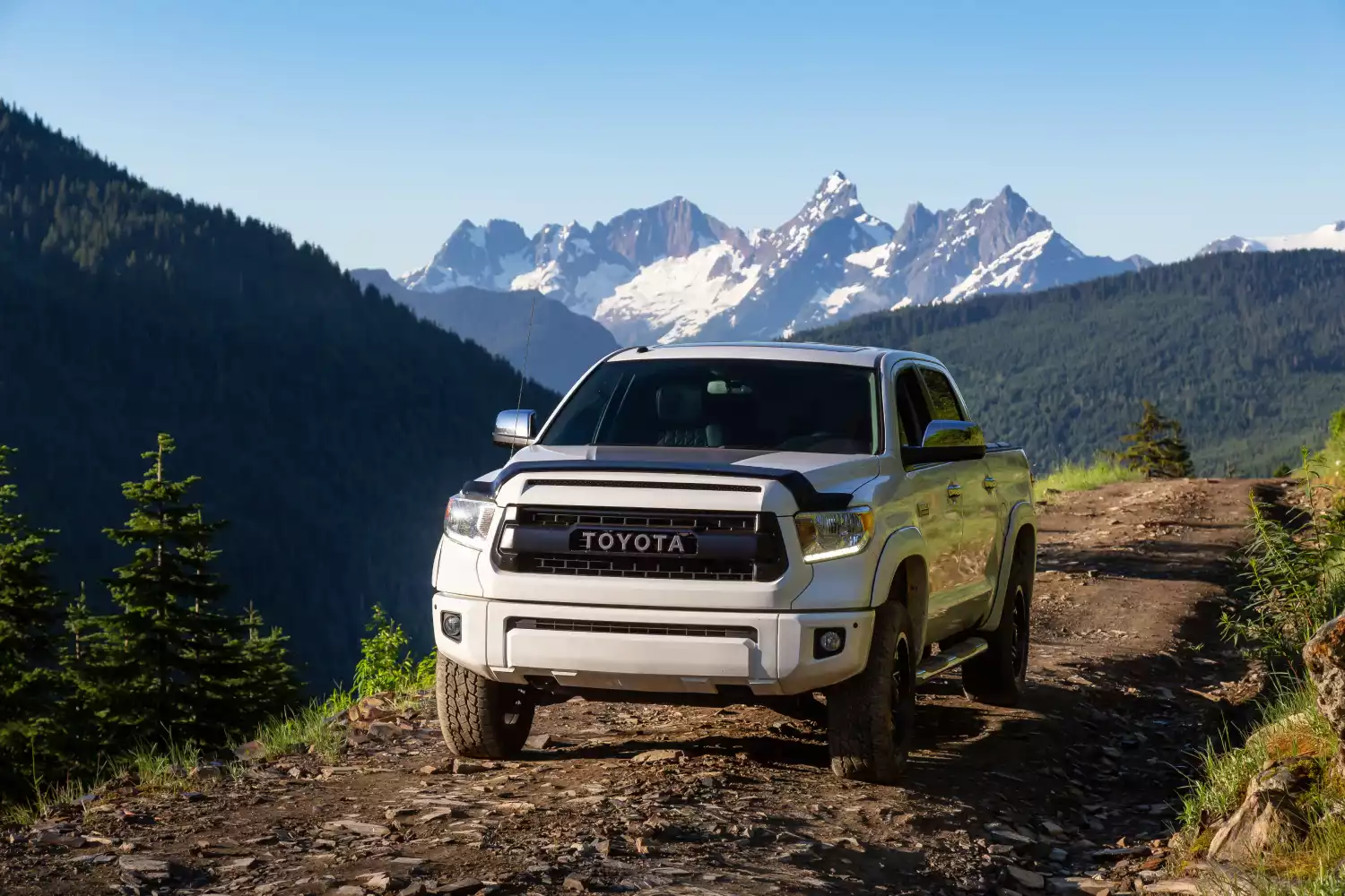 Toyota Tacoma trunk organizer