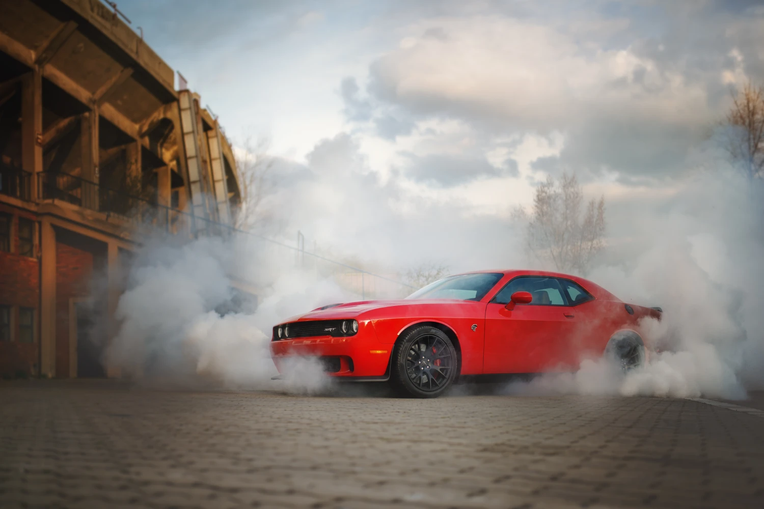 Dodge Challenger organizer for road trip