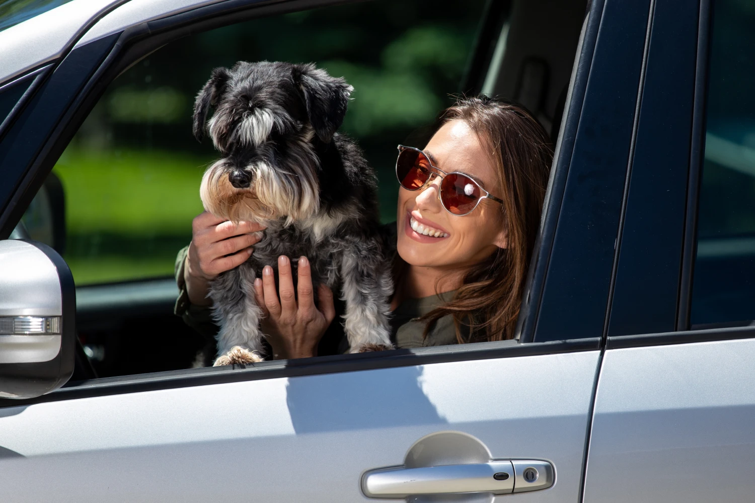 Honda Pilot Dog Carrier Car Seat for Miniature Schnauzer