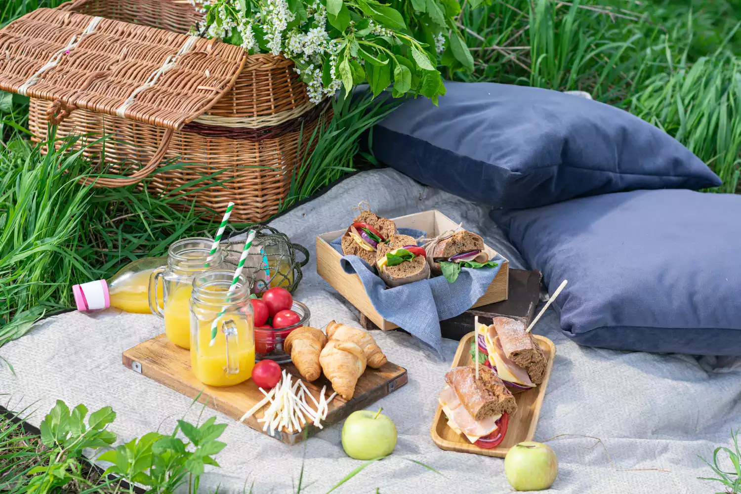 waterproof roll up picnic blanket