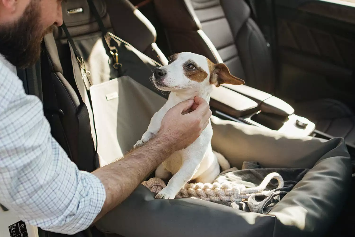 Bedlington Terriers Dog Car Seat for Subaru Outback