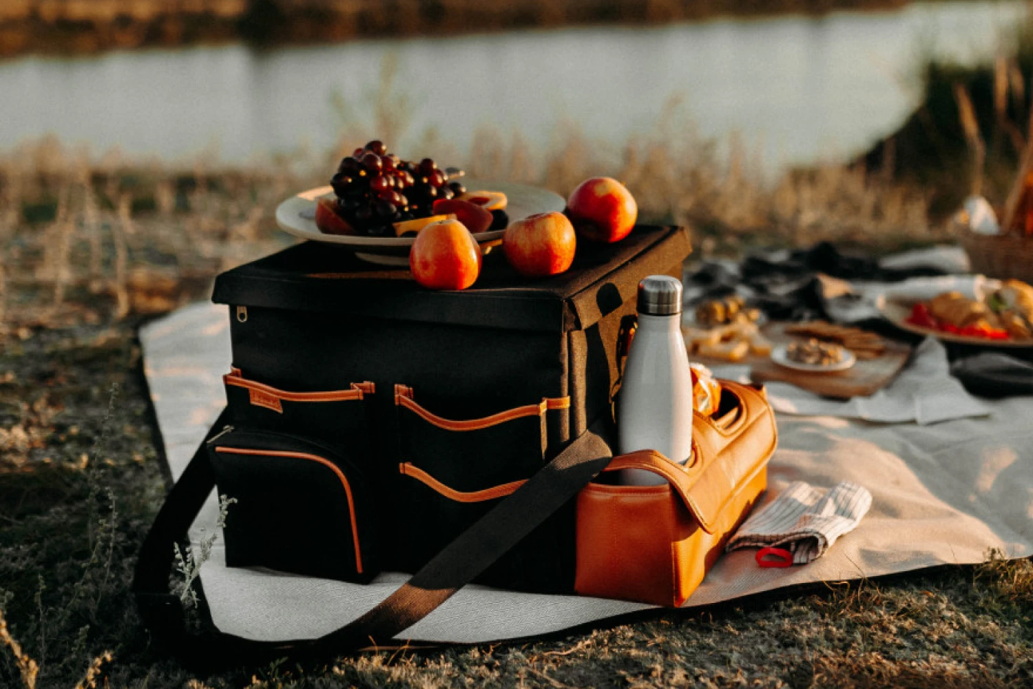 picnic blanket with strap