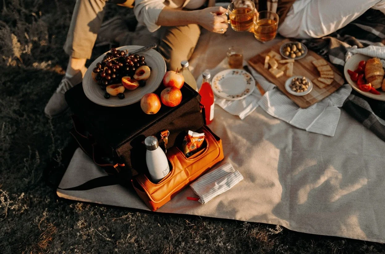 picnic blanket with strap