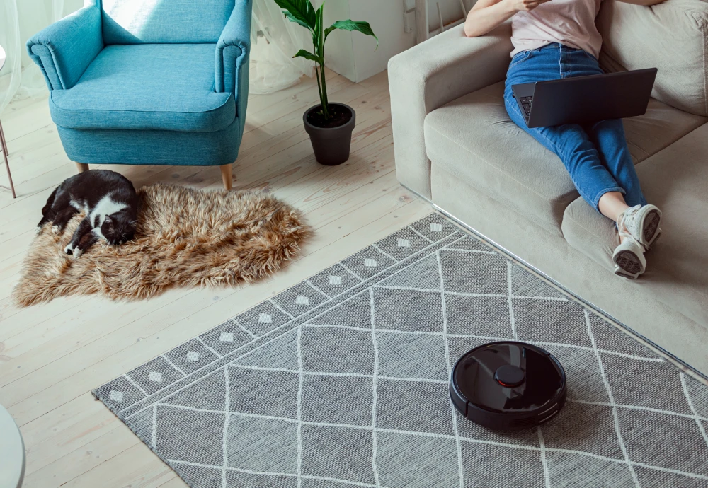 robotic vacuum cleaner with map navigation function